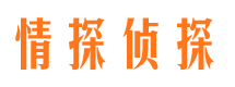 白塔市侦探公司